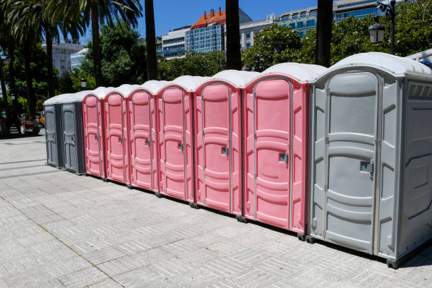 Best Portable Toilets with Baby Changing Stations  in La Porte, TX